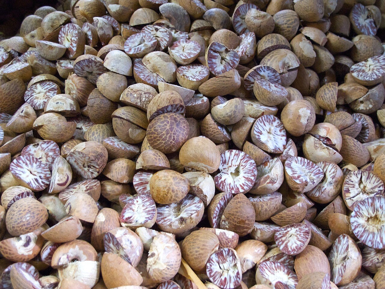 nutmeg-441645_1280