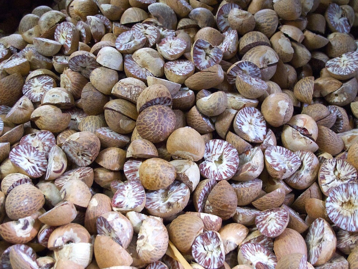 nutmeg-441645_1280